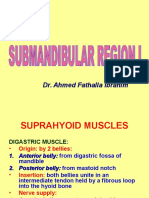 14-Submandibular Region I