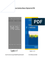 Replicacion DNA