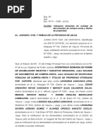 Demanda de Nulidad de Documentos de Compra-Venta y Títulos de Propiedad.
