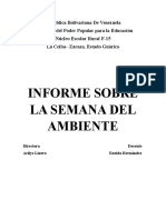 Informe Sobre El Ambiente