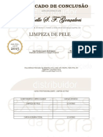 Michelle S. F. Gonçalves: Certificado de Conclusão