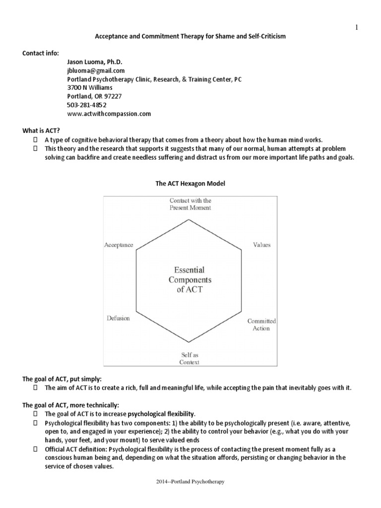 ACT Handout for Shame and Including Case