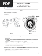 biologia 12º- 2ºperiodo