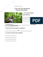 journey into the rainforest guided worksheet