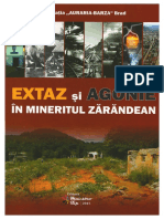 Extaz Si Agonie in Mineritul Zarandean Brad