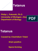 Tetanus: Philip L. Pokorski, Ph.D. University of Michigan-Dearborn Department of Biology