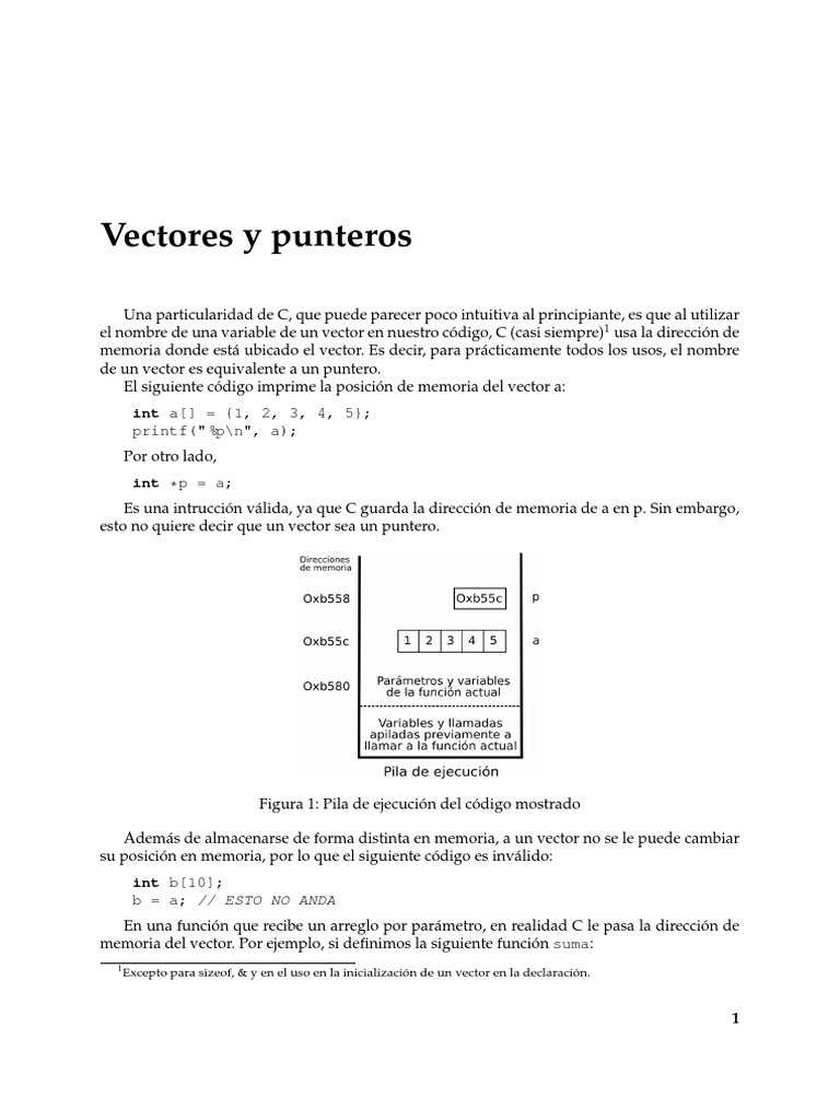 Vectores y Punteros (Informatica C) | PDF | Estructura de datos de ...