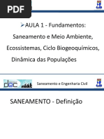 Aula 2 - Fundamentos Saneamento e Meio Ambiente, Ecossistemas, Ciclo Biogeoquímicos, Dinâmica Das Populações
