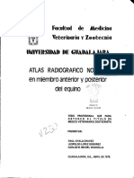 Ayala_Chavez_Raul.pdf