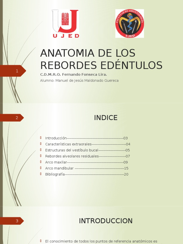 Anatomia de Los Rebordes Edéntulos | PDF | Diente humano | Dentadura ...