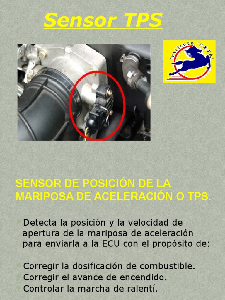 Funcionamiento y Tipos de Sensor TPS | PDF | Sensor | Campo magnético