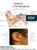 referat Anatomi telinga
