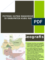 Potensi Hutan Mangrove Di Kabupaten Kubu Raya