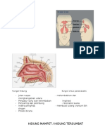 Hidung Tersumbat