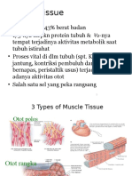 Muscle Tissue-2