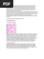 Download JaringanIkatAdalahJaringanYangBerfungsiMengikatbynevadaderissalamSN30739680 doc pdf