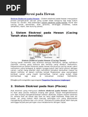 8800 Sistem Ekskresi Pada Ikan Air Tawar Dan Ikan Air Laut HD