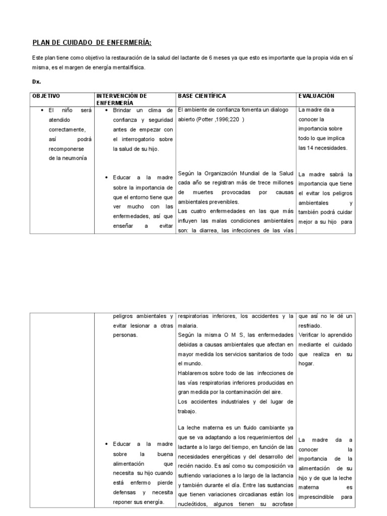 Plan de Cuidado de Enfermería ... III | PDF | La leche materna | Enfermería