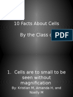 10 Fact About Cells