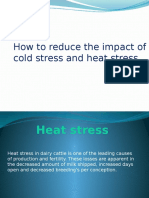How To Reduce The Impact of Cold Stress and Heat Stress