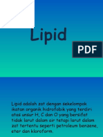 Lipid biokim