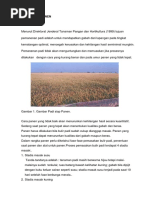 Download nformasi Panen  Pasca Panen Beras by nonapunya SN307406541 doc pdf