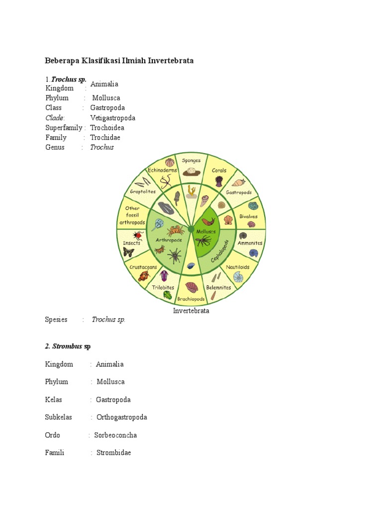 Beberapa Klasifikasi Ilmiah Invertebrata PDF 