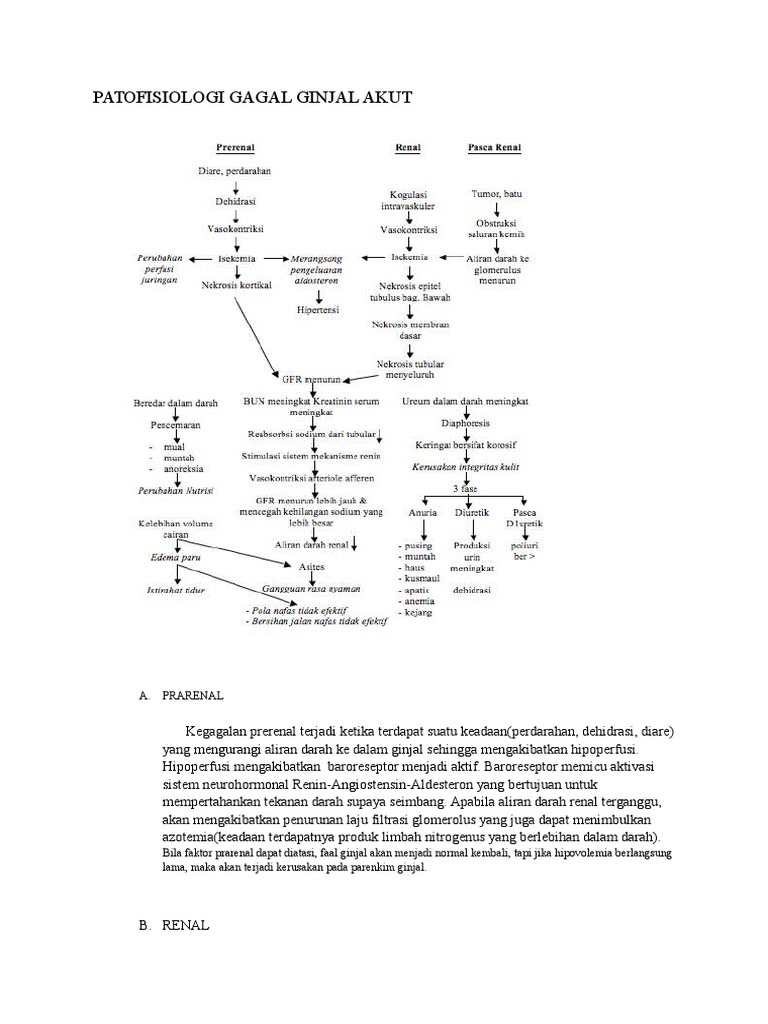 Patofisiologi Gagal Ginjal Akut