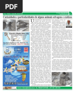 rio_mais_15a_edicao_pg_07