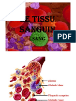 5 Tissu Sanguin Diapos
