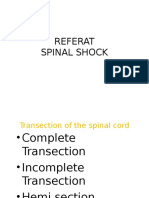 Understanding Spinal Shock