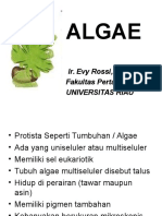 Pertemuan 10. Alga