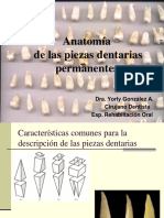 Anatomia Dentaria Clase Dra. Gonzalez 2016