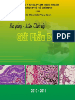 Alast Thực Tập Giải Phẫu Bệnh PDF