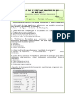 Prueba Ciencias 8° Nutrientes