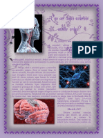 Care sunt cauzele accidentului vascular cerebral.pdf