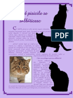 Când pisicile se sălbăticesc.pdf