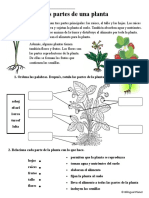 La Planta y Sus Partes