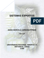 Sistemas Expertos