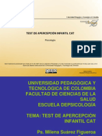 Temática Test de Apercepción Infantil.pdf
