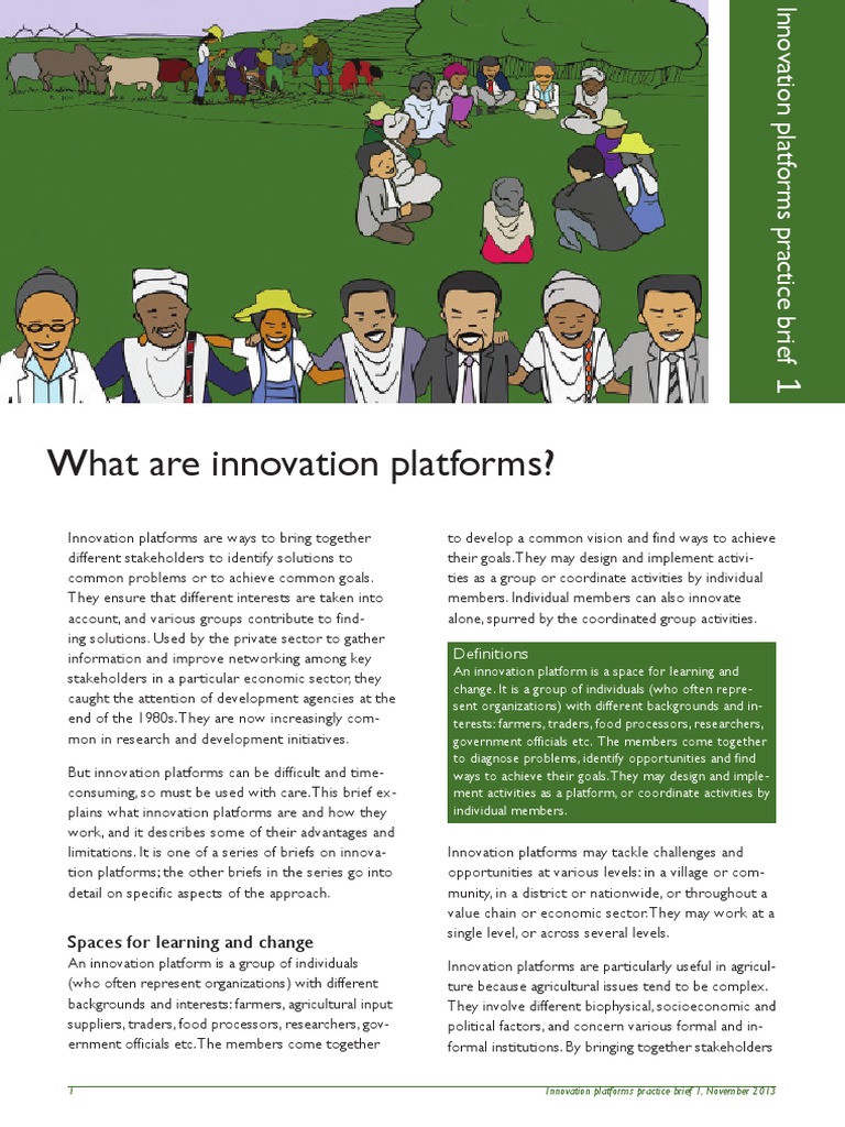 Understanding Innovation Platforms in Agriculture | PDF | Innovation ...
