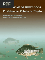 Protótipo - Tilapia Em Bioflocos