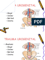 Kuliah Trauma Urogenital