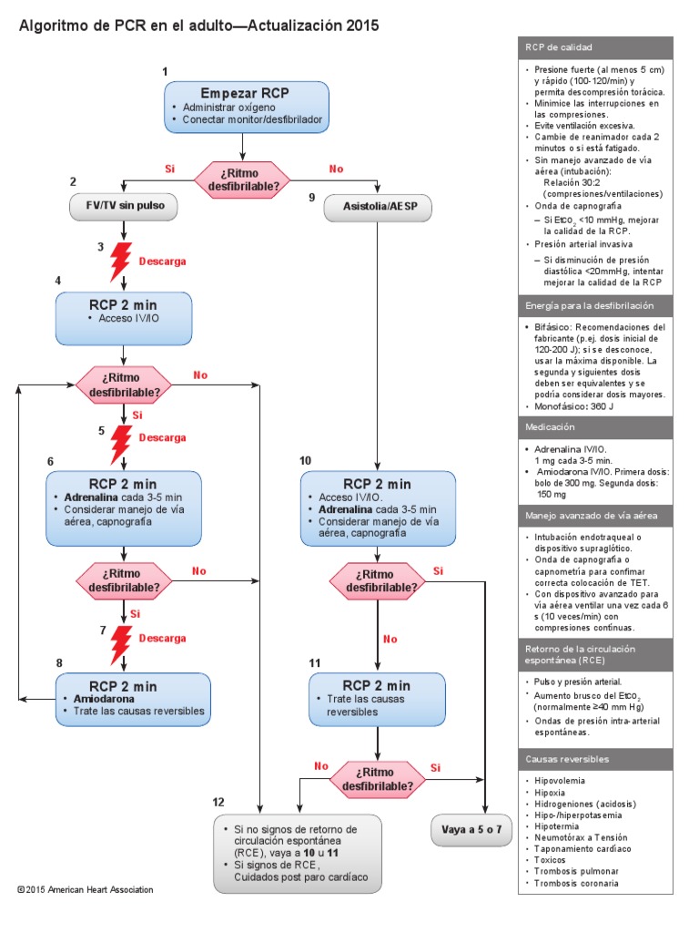 algoritmos aha 2015 español.pdf