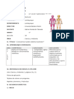 SESIÓN DE APRENDIZAJE Sistema Locomotor (Autoguardado)