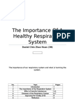 The Importance of A Healthy Respiratory System