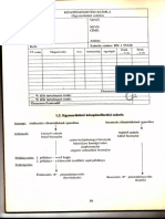 Készpénzfizetési Számla PDF