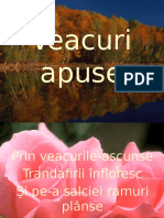 Veacuri apuse