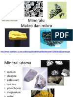 Major Minerals and Trace Minerals in the Human Body: Functions, Deficiency and Food Sources