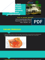 3 Anatomi Dan Fungsi Organ Genitalia Dan Pelvik